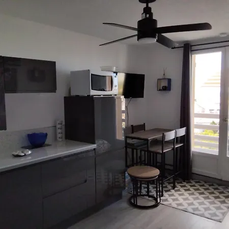 Appartement Chloe Vue Et Canigou 1ere Ligne